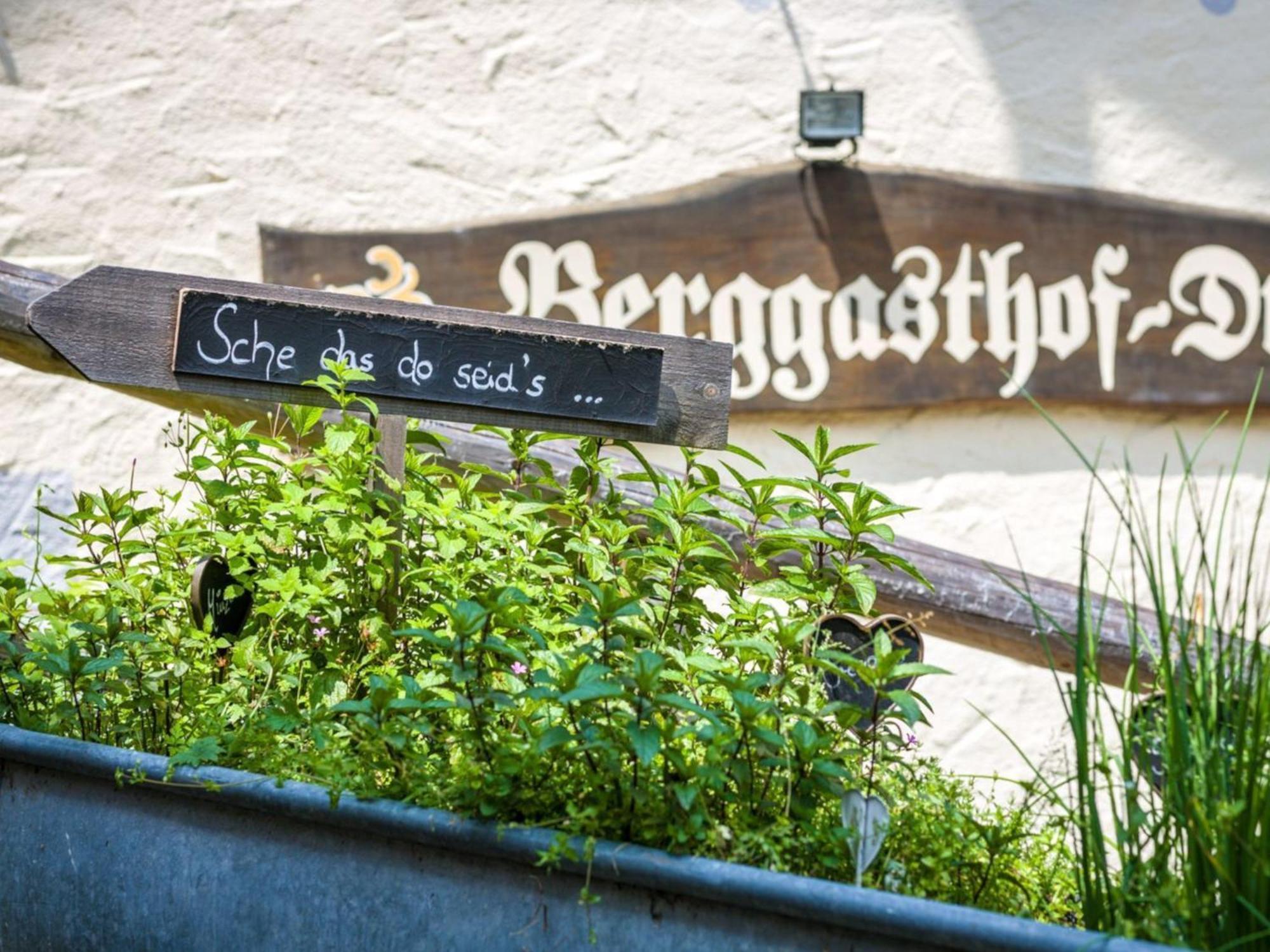 Berggasthof Hotel Duftbraeu I Ruhige Alleinlage I Mitten Im Gruenen Samerberg Esterno foto